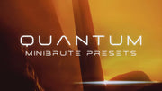 Quantum - Arturia MiniBrute V Sound Bank
