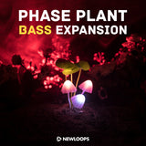 Phase Plant Bass Expansion (Kilohearts Phase Plant Presets)