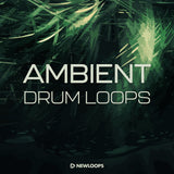 Ambient Drum Loops (WAV/Reason ReFill)