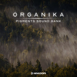 Organika - Pigments Sound Bank