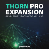 New Loops - Thorn Pro Expansion (Thorn Presets)